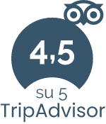 Icona Tripadvisor